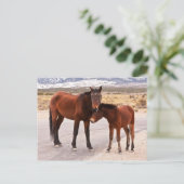 Komfort suchen postkarte (Stehend Vorderseite)