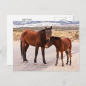 Komfort suchen postkarte (Vorne/Hinten)