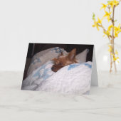 Komfort von Alfie Karte (Gelbe Blume)