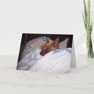 Komfort von Alfie Karte