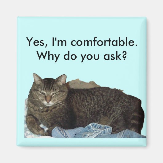 Komfortabel auf Waschkatzenmagnet Magnet (Vorne)