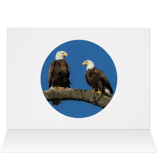 Komfortable Unterkunft (Innenansicht Horizontal (Oben))