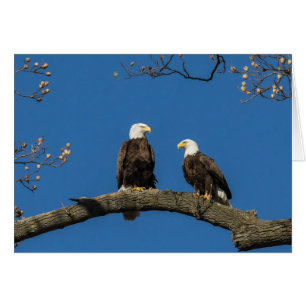 Komfortable Unterkunft