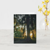 Komfortiger Sonnenuntergang Karte (Gelbe Blume)