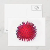 komisch postkarte (Vorne/Hinten)