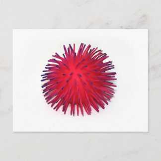 komisch postkarte