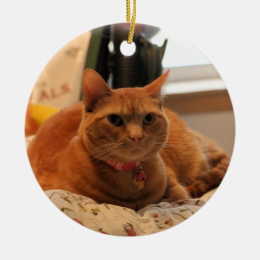 Komische Katze Keramikornament (Vorne)