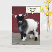 *KOMISCHE ZIEGE* SIE SEHEN IMMER NOCH "39" AUF IHR KARTE (Gelbe Blume)