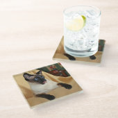 Komischer die Siegel-Punkt-siamesische Katze, die Glasuntersetzer (Schrägansicht)