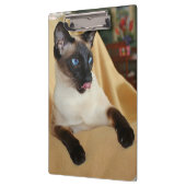 Komischer die Siegel-Punkt-siamesische Katze, die Klemmbrett (Links)