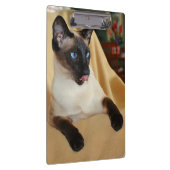 Komischer die Siegel-Punkt-siamesische Katze, die Klemmbrett (Rechts)