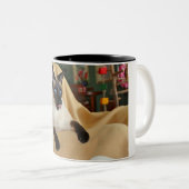Komischer die Siegel-Punkt-siamesische Katze, die Zweifarbige Tasse (VorderseiteRechts)