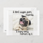 komischer Mops-Wahnsinn Postkarte (Vorne/Hinten)