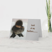 KOMISCHES ENTLEIN SAGT "HAPPY BIRTHDAY"