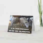 KOMISCHES SCHAFENESSEN KANN NICHT GEHEN KARTE (Vorderseite)