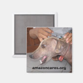 Komm bald! Magnet (Vorderseite/Rückseite)