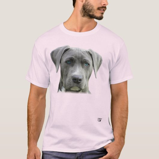 Komm, Hund, es ist blau und grau T-Shirt (Vorderseite)