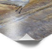 Komm mit mir. fotodruck (Ecke)