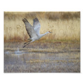 Komm mit mir. fotodruck (Vorne)