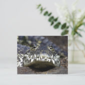 Komm mit mir zum Abendessen Postkarte (Stehend Vorderseite)