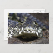 Komm mit mir zum Abendessen Postkarte (Vorne/Hinten)