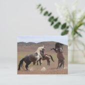 Komm und hol dir ein paar postkarte (Stehend Vorderseite)