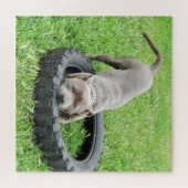 Komm und spiele Staffy, Jigsaw Puzzle (Horizontal)