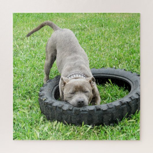 Komm und spiele Staffy, Jigsaw Puzzle (Vertikal)