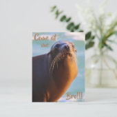 Komm zu mir bro! postkarte (Stehend Vorderseite)