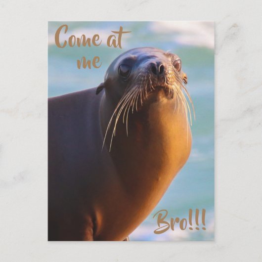 Komm zu mir bro! postkarte (Vorderseite)