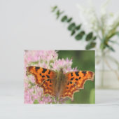 Komma-Schmetterling Postkarte (Stehend Vorderseite)