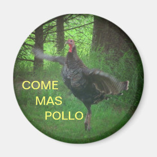 Kommen Mas Pollo die lustige Türkei Magnet