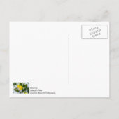 Kommen Sie auf die Frühlingszeit und denken Sie an Postkarte (Rückseite)