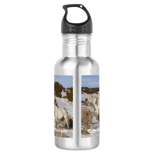 Kommen Sie auf die Wildnis Edelstahlflasche (Rückseite)