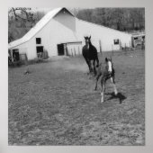 Kommen Sie bei Ya Poster (Vorne)