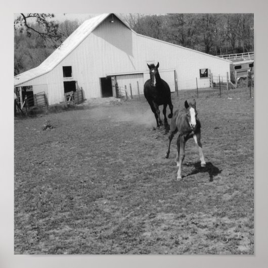 Kommen Sie bei Ya Poster (Vorne)