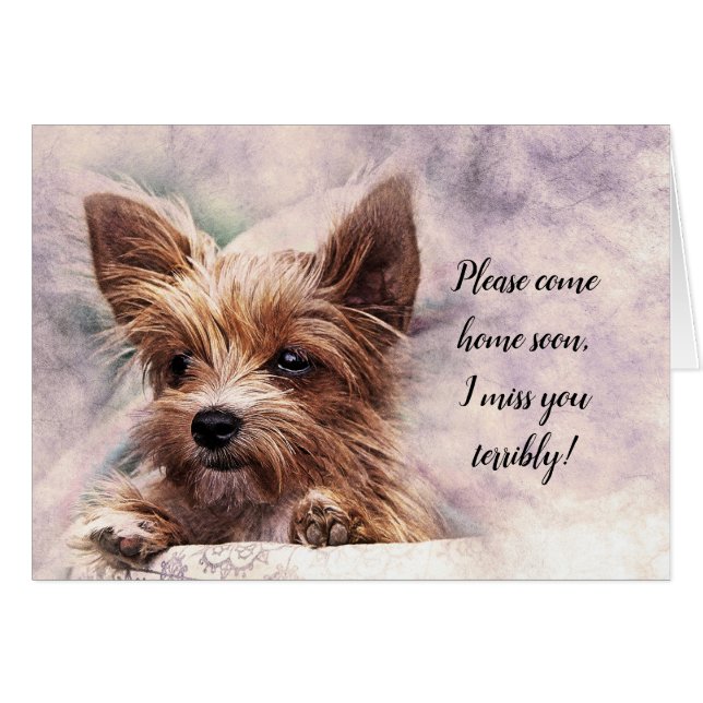 Kommen Sie bitte Zuhause bald ich Miss Sie schreck (Vorderseite (Horizontal))