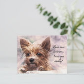 Kommen Sie bitte Zuhause bald ich Miss Sie schreck Postkarte (Stehend Vorderseite)