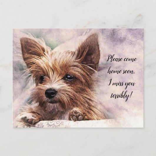 Kommen Sie bitte Zuhause bald ich Miss Sie schreck Postkarte (Vorderseite)