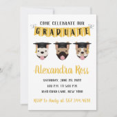 Kommen Sie feiern unsere französischen Bulldogs Einladung (Vorderseite)