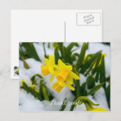 Kommen Sie im Frühjahr dank Postcard Postkarte (Vorne/Hinten)