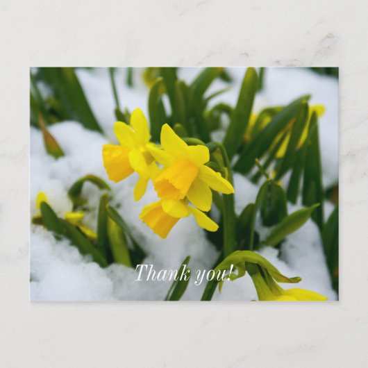 Kommen Sie im Frühjahr dank Postcard Postkarte (Vorderseite)