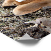 Kommen Sie raus und spielen Sie Beagle Digitalisie Poster (Ecke)