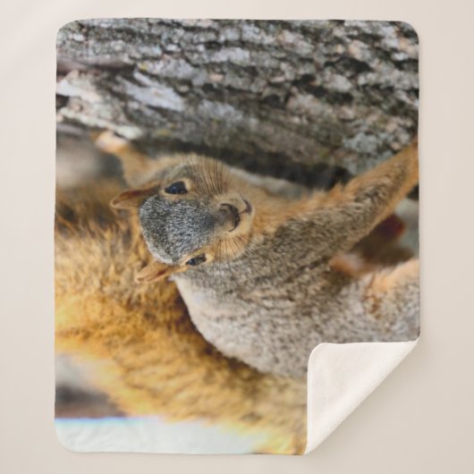 Kommen Sie? Sherpadecke (Vorderseite)