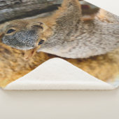 Kommen Sie? Sherpadecke (3/4)