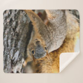 Kommen Sie? Sherpadecke (Vorderseite (Horizontal))