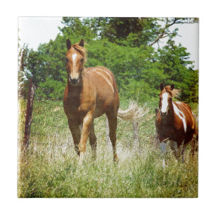 Kommen Sie, wenn gerufen, zwei Pferde Fliese