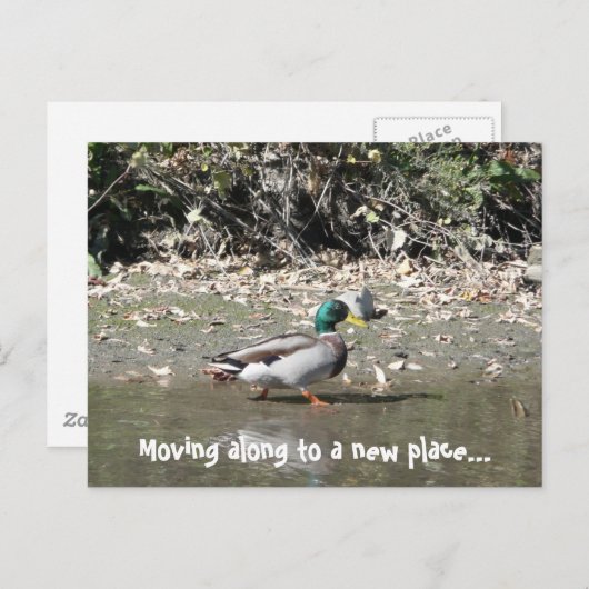 Kommen Sie zu einem neuen Ort... Ankündigungspostkarte (Vorne/Hinten)