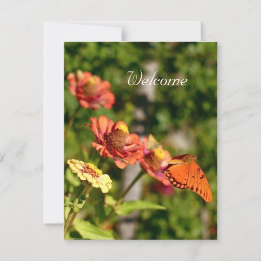 Kommen Sie zu einem Picknick Einladung (Vorderseite)