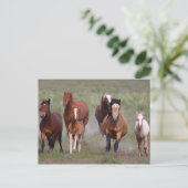 Kommen Sie zu Ihnen Postkarte (Stehend Vorderseite)